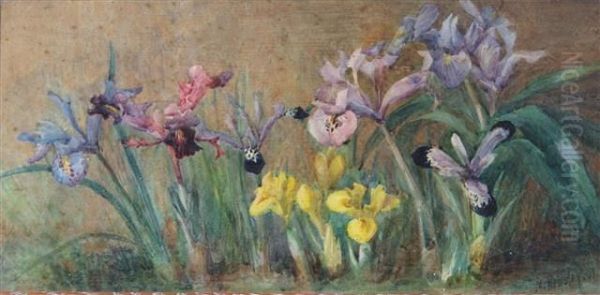 Blue, Pink And Yellow Irises Oil Painting by Marie Hensley