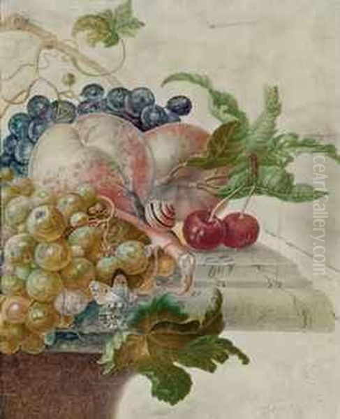 Raisins, Peches, Cerises Et Insectes Sur Un Entablement Oil Painting by Herman Henstenburgh