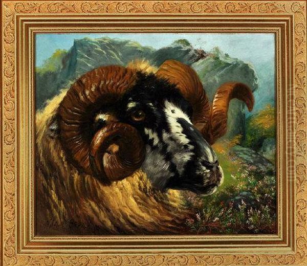 A Portrait Of A Ram Oil Painting by Wilson Hepple