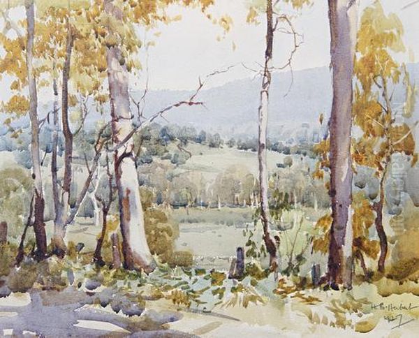 Near Marysville, Victoria, Australia Oil Painting by Harold Brocklebank Herbert