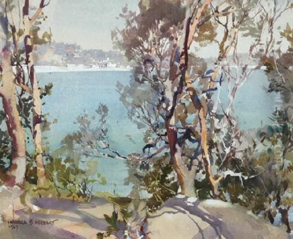 Honeysuckle, Sydney Oil Painting by Harold Brocklebank Herbert