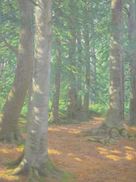 Sunlight Through Pines And Other Tree's Oil Painting by George Hering