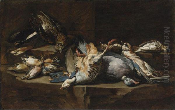 Still Life Of Game Birds Resting On A Rock Ledge Oil Painting by Johannes Hermans