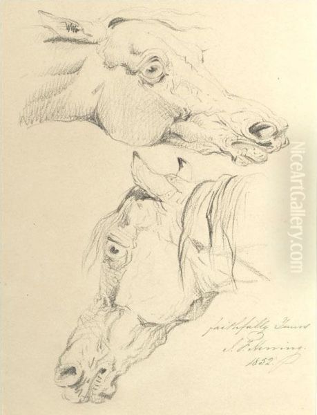 Studies Of A Horse's Head Oil Painting by James Herring