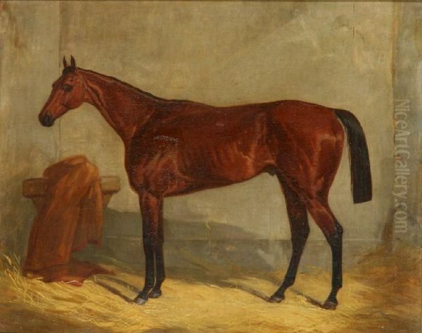 Cavallo Oil Painting by J.F. Herrings Herrings Sen.