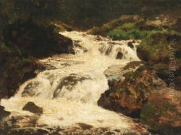 Cascading Falls Oil Painting by Herman Herzog