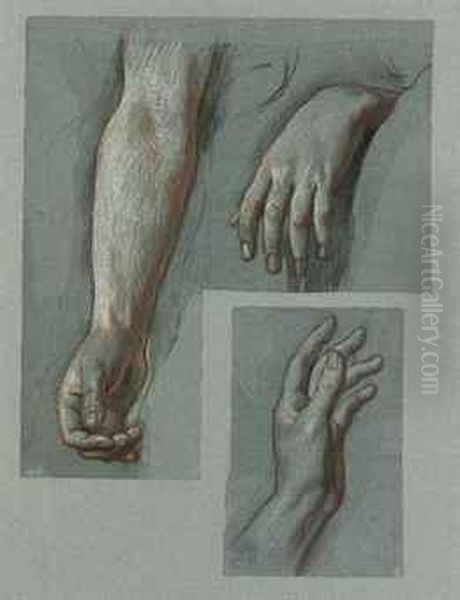 Studies Of Hands Oil Painting by Alexandre Hesse