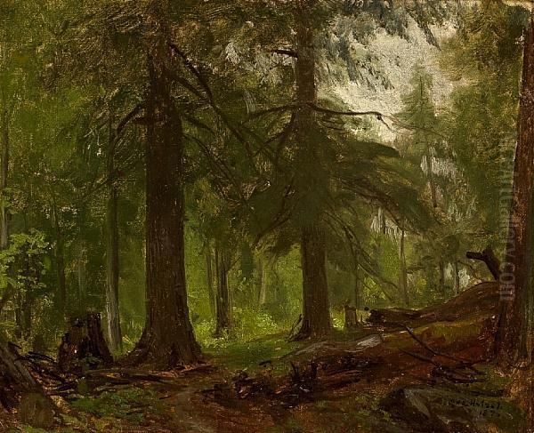 Forest Interior Oil Painting by George Hetzel