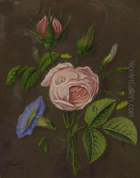 Still Life Of Roses And Convolvulus Oil Painting by James Hewlett