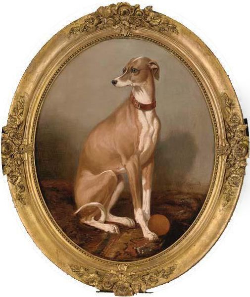 A Whippet Seated In An Interior Oil Painting by Louis Robert Heyrault