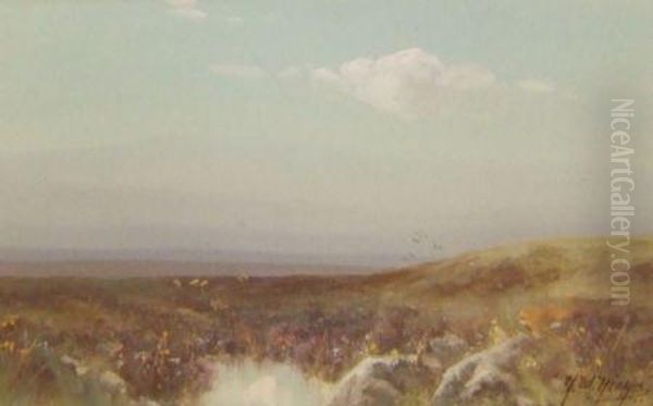 Belstone Moor Oil Painting by Herbert William Hicks