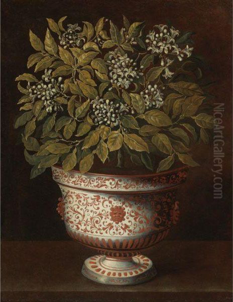 Terracotta Vase With An Orange Bush In Flower Oil Painting by Tomas Hiepes