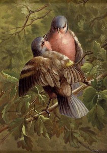 Vogelpaar Oil Painting by Josef Hilbert