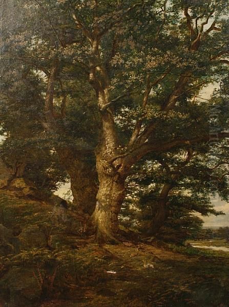 Oak In Bradgate Park Oil Painting by Arthur Hill