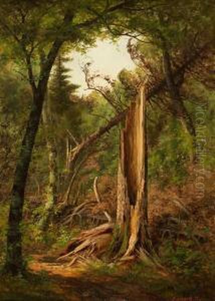 Woodland Interior Oil Painting by Edward Hill