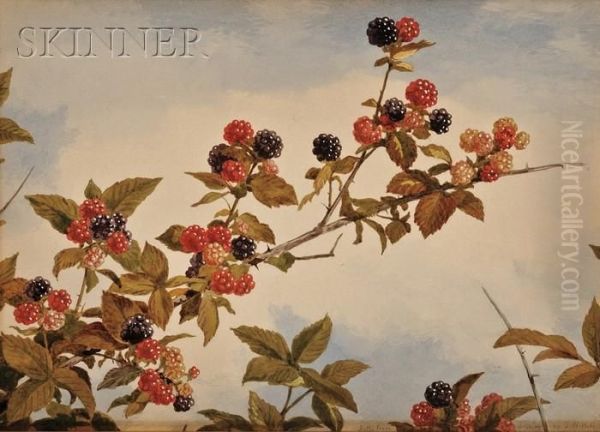 Still Life Of Blackberry Branches Oil Painting by John William Hill