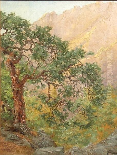 A Juniper In The Mountains Oil Painting by Lavina Baker Hill