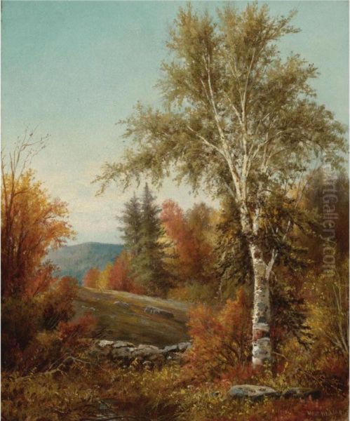 A Birch Tree By A Stone Wall Oil Painting by William Henry Hilliard