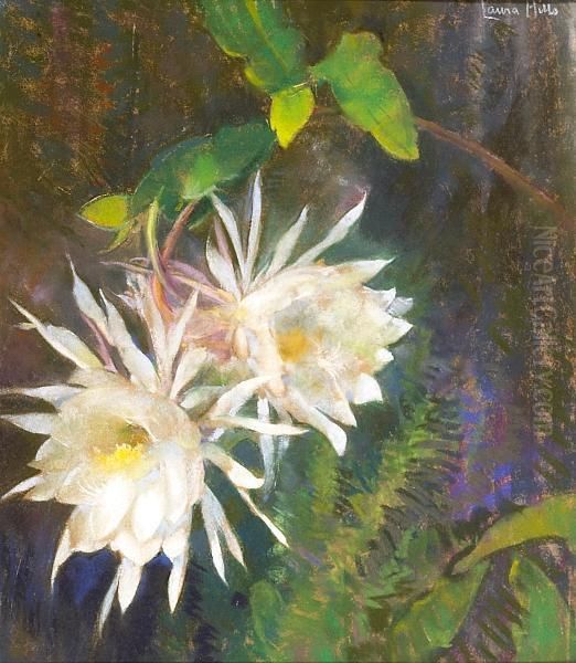 Night Blooming Cereus Oil Painting by Laura Coombs Hills