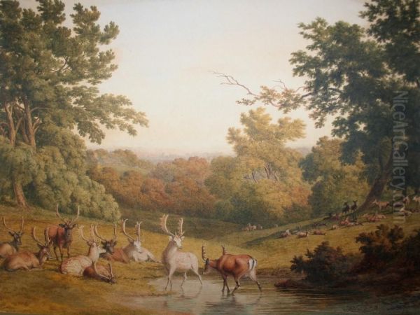 Deer In A Park Oil Painting by Robert Hills