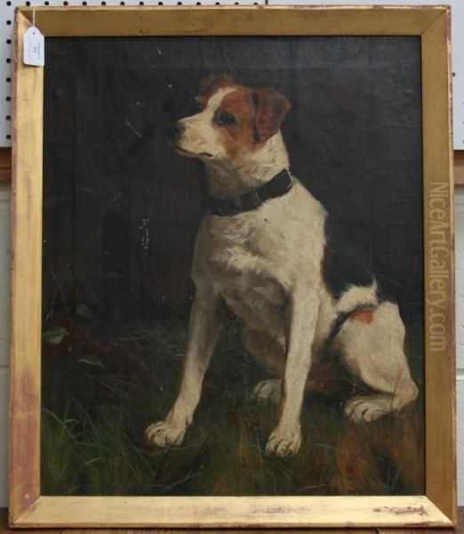 Study Of A Seated Terrier Oil Painting by J.W. Hillyard