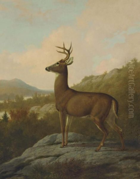 Deer In Landscape Oil Painting by Thomas Hewes Hinckley