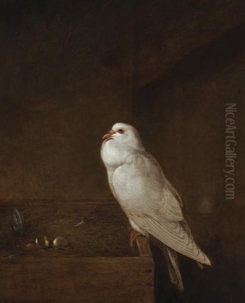 Perched Pigeon Oil Painting by Thomas Hewes Hinckley