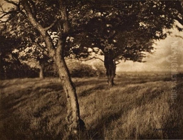 Beyond Oil Painting by Alfred Horsley Hinton