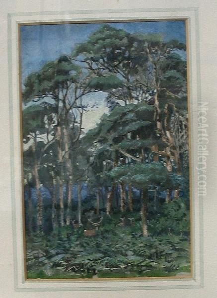 Scotch Firs Oil Painting by Alfred Horsley Hinton