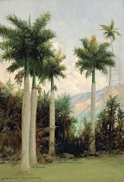 Royal Palms At Moanalua, Near Honolulu Oil Painting by David Howard Hitchcock