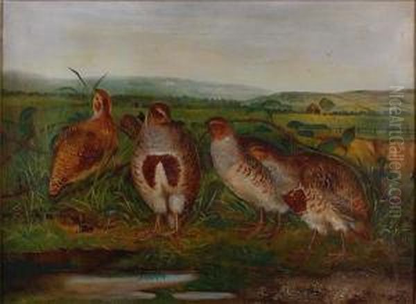 Partridge In A Landscape Oil Painting by William Webster Hoare