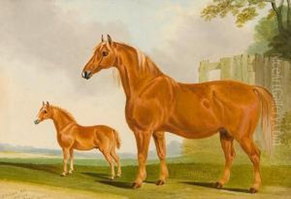 Suffolk Mare And Foal Oil Painting by John R. Hobart