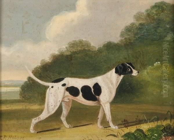 Black And White Hound Oil Painting by John R. Hobart