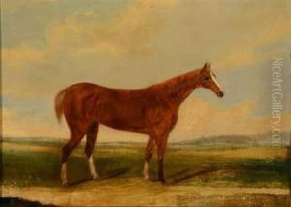 Chestnut Racehorse In An Open Field Oil Painting by John R. Hobart