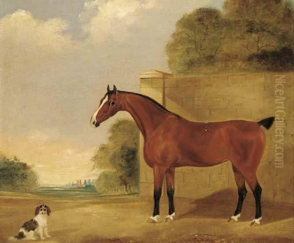 A Brown Racehorse With A Spaniel Oil Painting by John R. Hobart