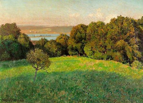 Sonnige Wiesenlandschaft. Oil Painting by Franz Xaver Hoch