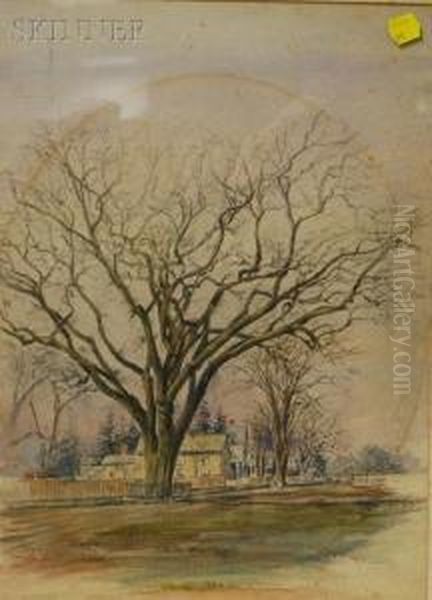 The Washingtonelm Of Cambridge, Massachusetts Oil Painting by Sarah Hodges Swan