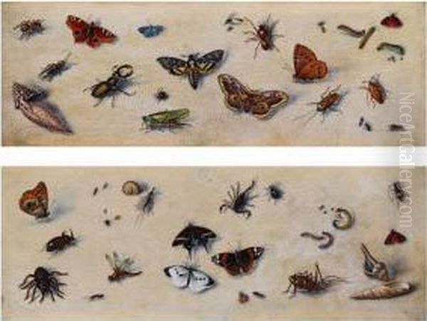 Paar Insektenstudien Oil Painting by Joris Hoefnagel