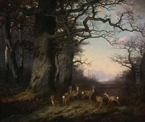 Sprung Rehe Auf Abendlicher Waldlichtung Oil Painting by Georg Hoehn