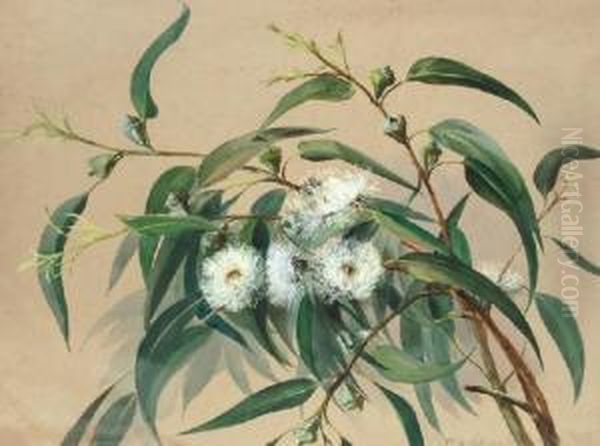 Flowering Gum Oil Painting by G. Hofer