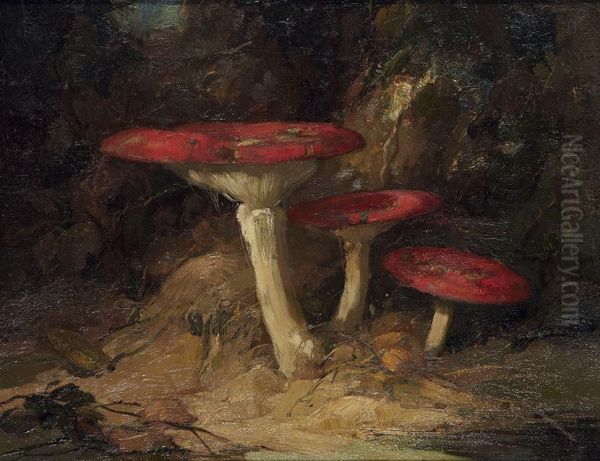 Mushrooms Oil Painting by Van'T Adrianus Johannes Hoff