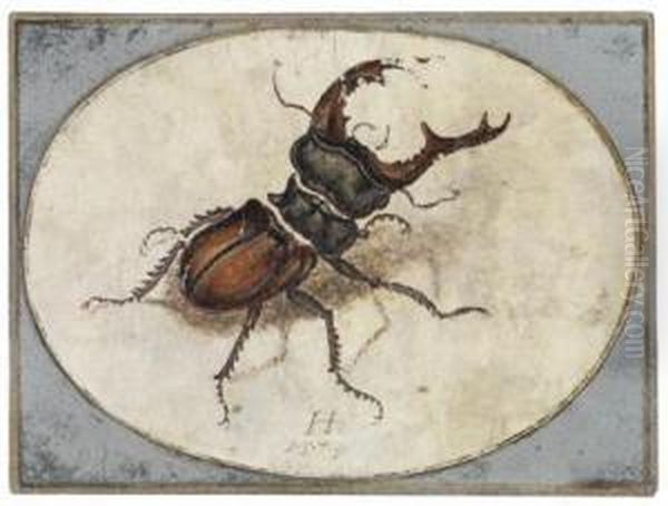 A Stag Beetle Oil Painting by Hans Hoffmann