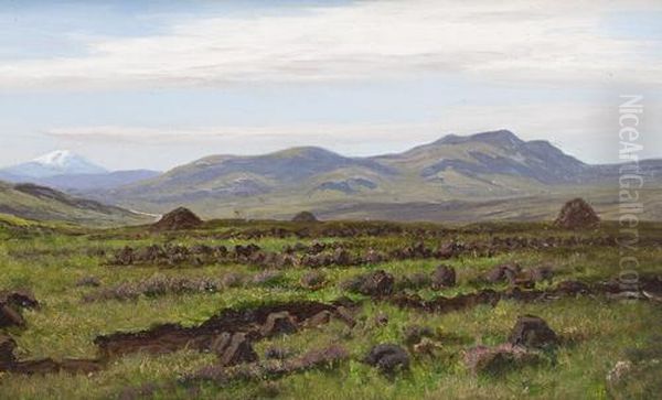 Peat Bed At Broadford Skye Oil Painting by Stephen E. Hogley