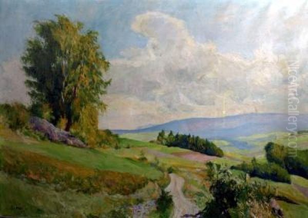 Sommerliche Gebirgslandschaft Oil Painting by Georg Hohlig