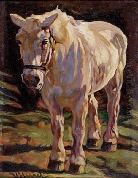 Pferd Oil Painting by Wilhelm Hohnel