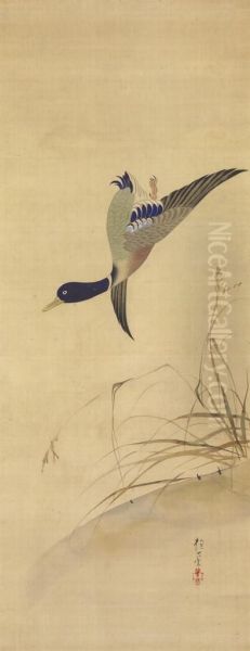 Goose And Reeds Oil Painting by Sakai Hoitsu