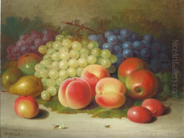 Still Life Of Fruit Oil Painting by Abel Hold