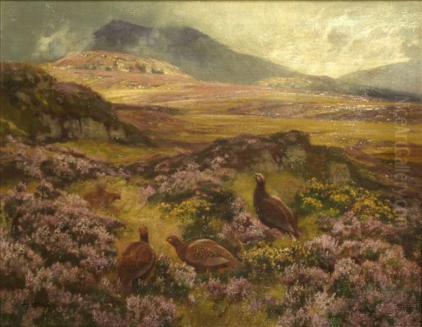 Grouse On A Moor Oil Painting by Abel Hold