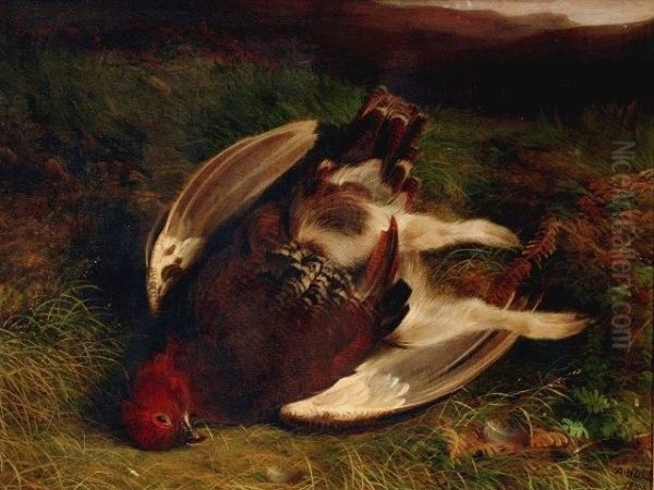 Red Grouse In A Moorland Setting Oil Painting by Abel Hold