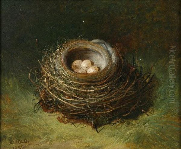 Study Of A Birds Nest With Eggs Oil Painting by Abel Hold